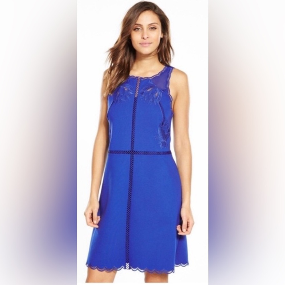 Ted Baker London Royal Blue Lace Trim Fit-and-Flare Dress-